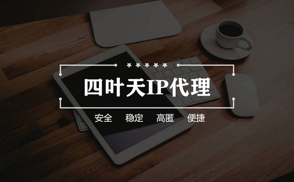 【淮北代理IP】如何快速搭建代理IP？怎么检查代理的效果？